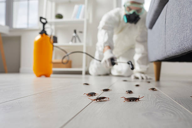 Commercial Kitchen Cockroach Control in Lackawanna